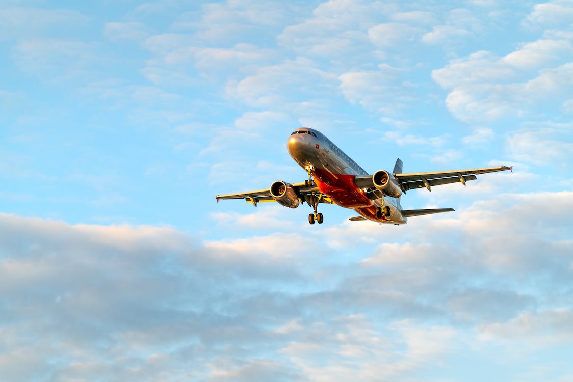 Flight Bookings
